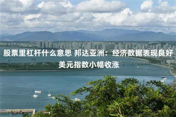 股票里杠杆什么意思 邦达亚洲：经济数据表现良好 美元指数小幅收涨