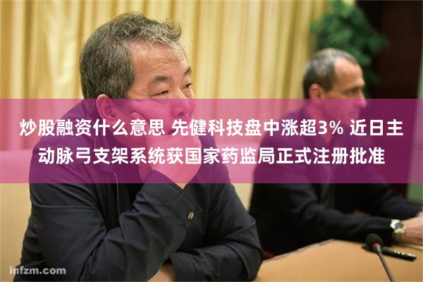 炒股融资什么意思 先健科技盘中涨超3% 近日主动脉弓支架系统获国家药监局正式注册批准