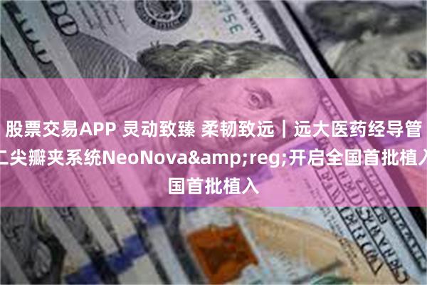 股票交易APP 灵动致臻 柔韧致远｜远大医药经导管二尖瓣夹系统NeoNova&reg;开启全国首批植入