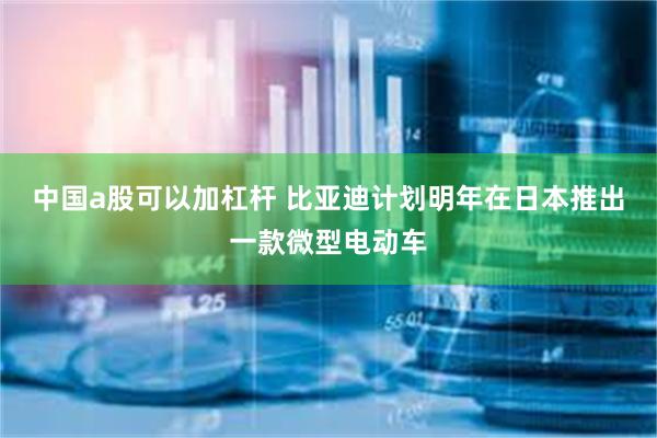 中国a股可以加杠杆 比亚迪计划明年在日本推出一款微型电动车