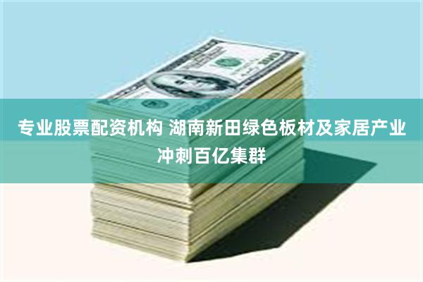 专业股票配资机构 湖南新田绿色板材及家居产业冲刺百亿集群