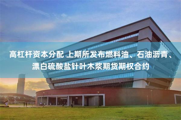 高杠杆资本分配 上期所发布燃料油、石油沥青、漂白硫酸盐针叶木浆期货期权合约
